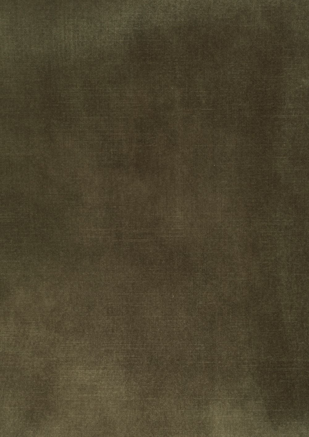 Cacao 83