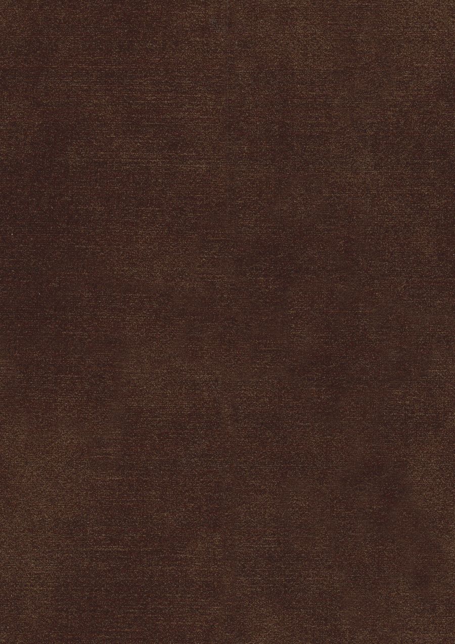 Coffee 81